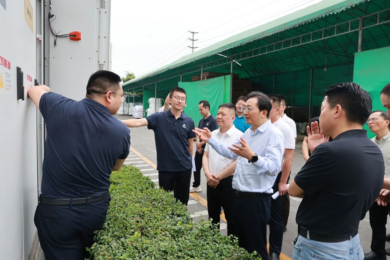赵春淦书记带队调研智网公司崇州市储能项目
