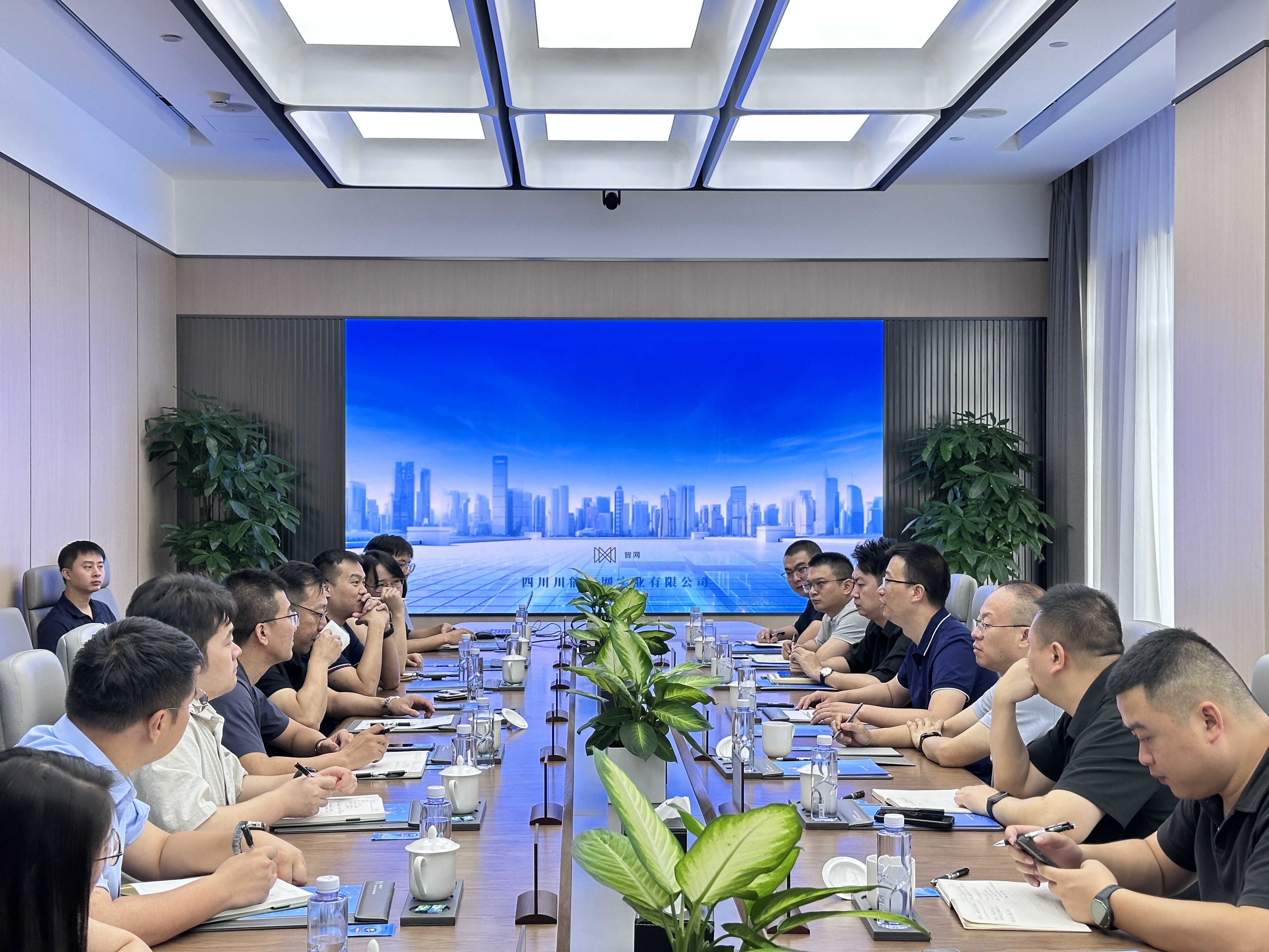 四川雅投集团党委书记、董事长秦岭一行莅临智网公司参观交流